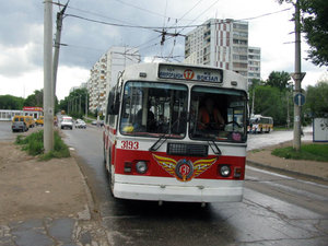 3193.jpg