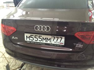 IMG_1567.jpg