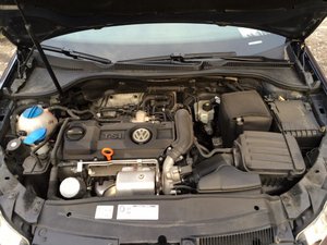 IMG_2282.jpg