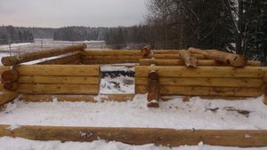 DSC_1024.jpg