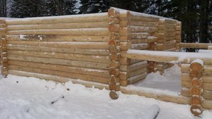 DSC_1125.jpg