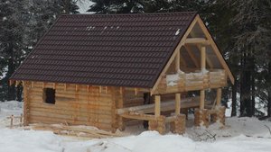 DSC_1345.jpg