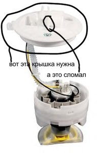 517444.jpg