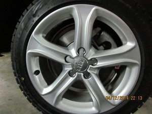 IMG_1395.jpg