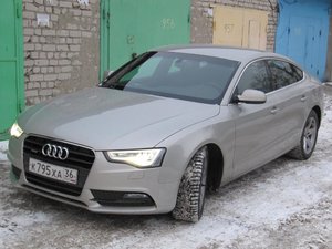 IMG_7795.jpg