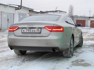 IMG_7799.jpg