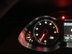 IMG_3513.jpg