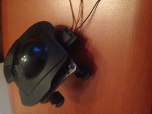 image (1).jpg