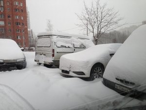 IMG_0894.jpg