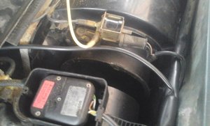 2014-12-22 11.49.41.jpg