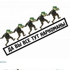 4561562.jpg
