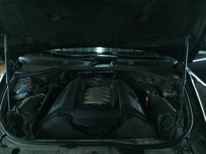 IMG_4621.jpg