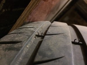 IMG_1448.jpg