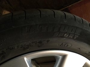IMG_1453.jpg
