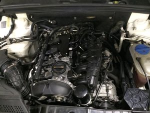 IMG_1789.jpg