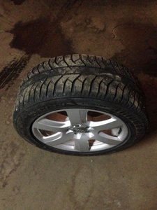 IMG_1956.jpg