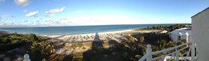 IMG_2954.jpg