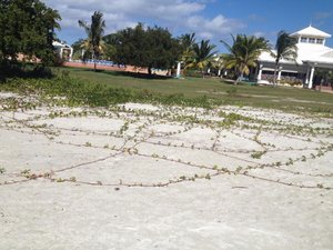 IMG_2900.jpg