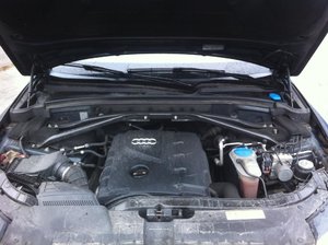 IMG_0375.jpg