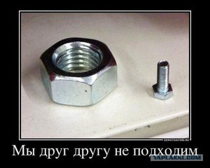 4399537.jpg