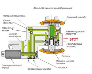 ФВ+.JPG
