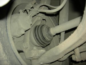 DSCN4358.jpg