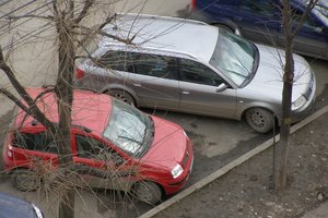 P1241091res.jpg