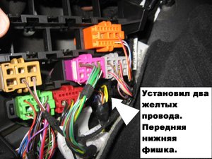 IMG_0105.jpg