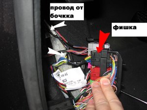 IMG_0106.jpg