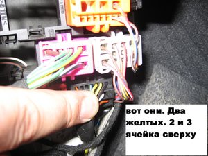 IMG_0115.jpg