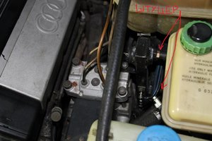 IMG_2443.JPG