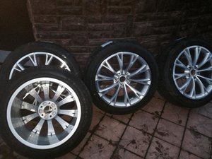 IMG_3693.jpg