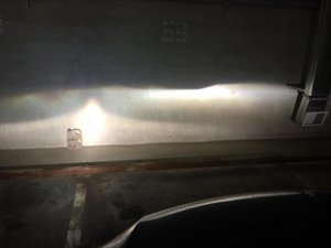 IMG_1156[1].jpg