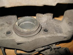 IMG_1176.jpg