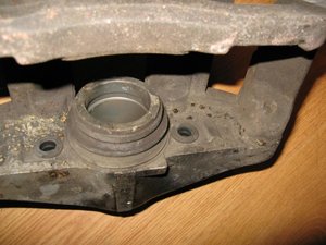 IMG_1180.jpg