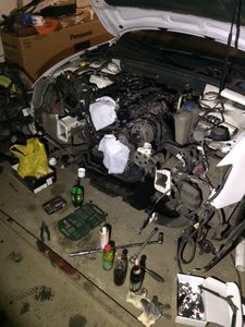 image11.jpeg
