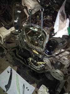 image17.jpeg