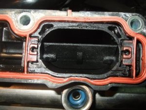 DSCF1830.jpg