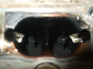 DSCF1838.jpg