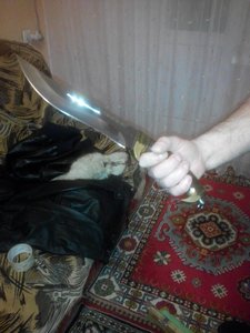 uploadfromtaptalk1423993205067.jpg