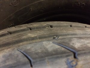 IMG_1804.jpg