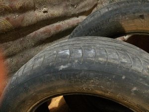 IMG_1801.jpg