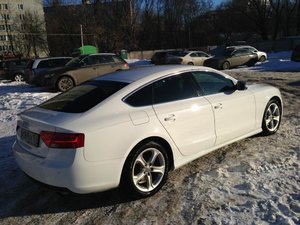IMG_0177.jpg