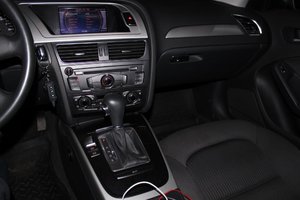 IMG_3613.jpg