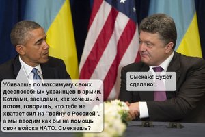 дк8.jpg
