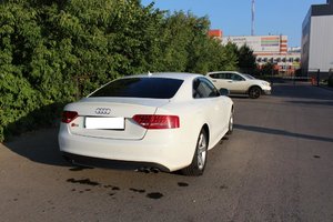 IMG_2444.jpg