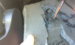 IMAG0281.jpg