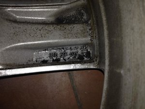 IMG_2636.jpg