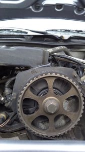 IMG_20150222_104155.jpg
