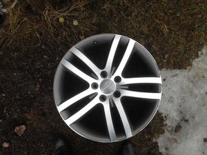 IMG_2229.jpg